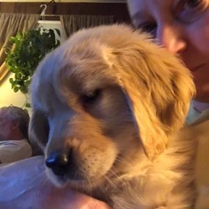 Meet your Posher, Deborah